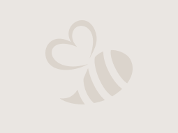 Fabryka Cukierków „Pszczółka” Sp. z o.o. ogłasza aukcję (licytację) w dniu 22 maja 2023 r. na sprzedaż Kotła wodnego Viessmann Vitoplex 200